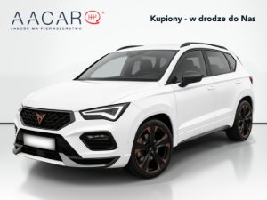 Odtwórz wideo