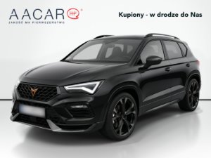 Odtwórz wideo