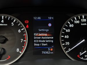 Miniaturka