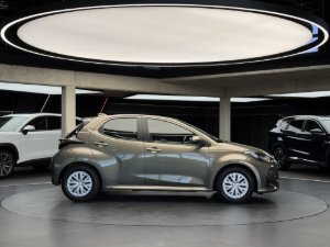 Miniaturka