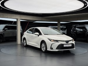 Miniaturka
