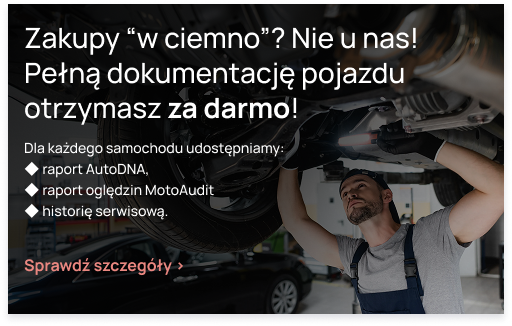 AutoDNA - historia pojazdu